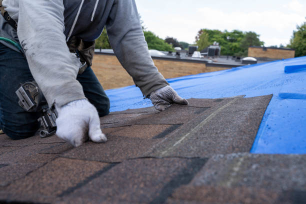 Best Commercial Roofing Services  in Brinkley, AR