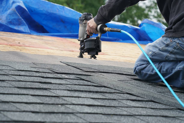 Best Storm Damage Roof Repair  in Brinkley, AR