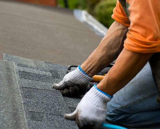 Best Gutter Installation and Roofing  in Brinkley, AR