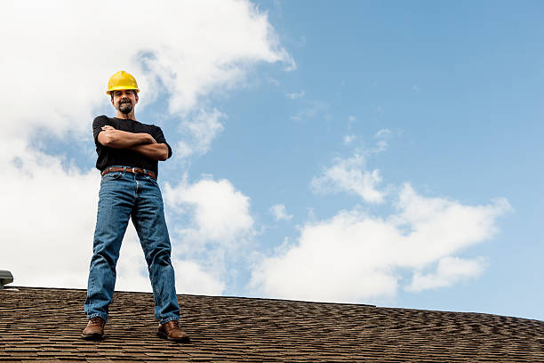 Best Roof Gutter Cleaning  in Brinkley, AR
